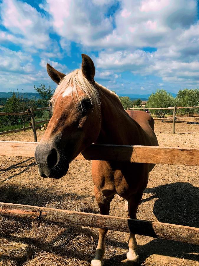 Relais Tenuta Gentili San Liberato Eksteriør billede