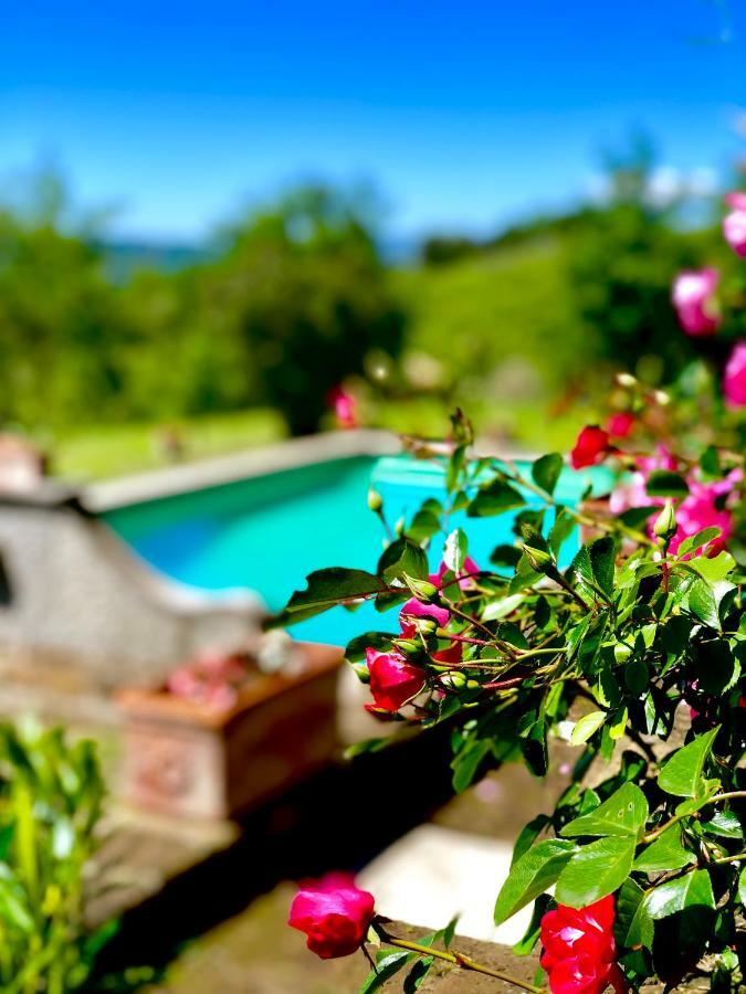 Relais Tenuta Gentili San Liberato Eksteriør billede